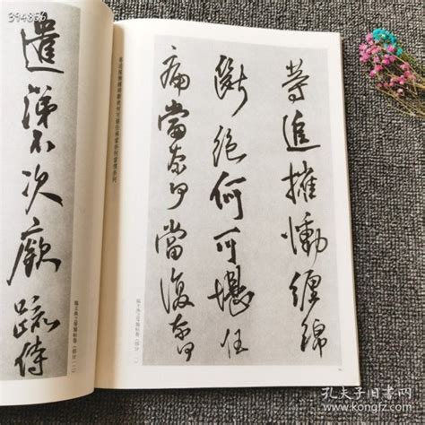 未足臨書卷 時能點客衣|未足临书卷，时能点客衣。 原文